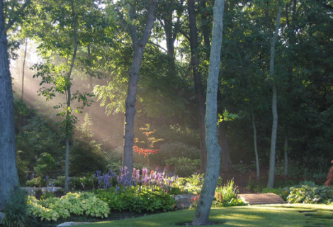 Private Residence | Lake Forest, IL | Woodland Garden